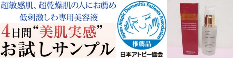 ���R�h�ێ����e�t�R�R�������T�C�g